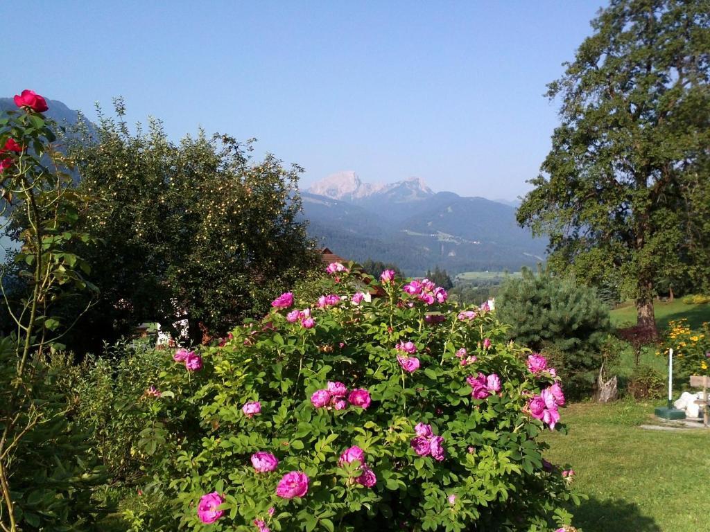 Mitschighof - Apartments Und Pension - Heidis-Welt, Mitschig Hermagor-Pressegger See Dış mekan fotoğraf